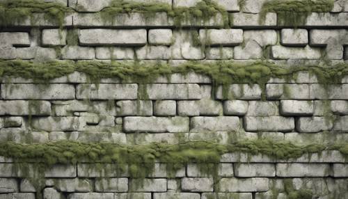 Weathered concrete wall pattern with patches of moss. Tapet [452ee1f32952473e845f]