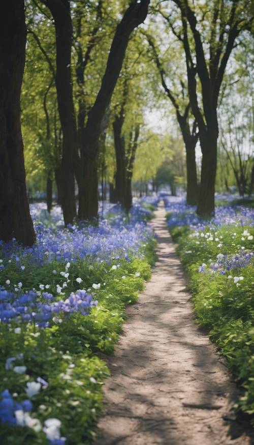 Um caminho em um parque repleto de campânulas azuis e brancas florescendo