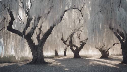 A magical grove filled with white willows with gray leaves.