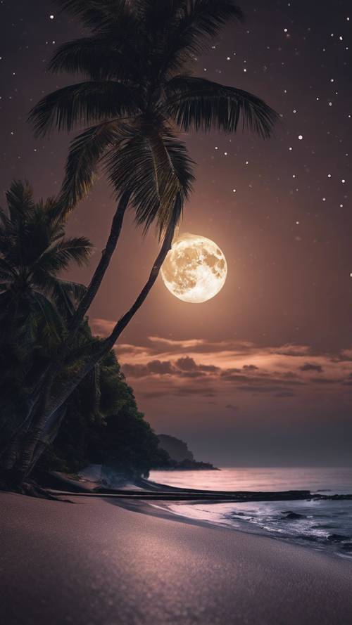 A midnight view of a tropical beach, illuminated by the lustrous glow of the full moon.