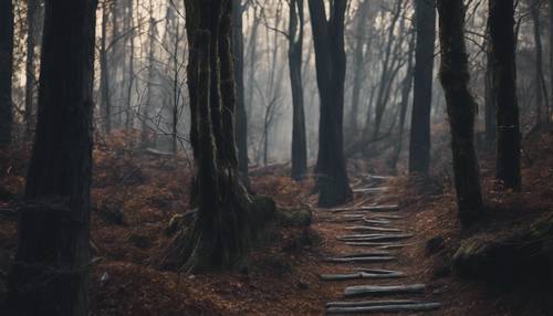 Uma floresta escura e esfumaçada com troncos de árvores enegrecidos e um caminho obscuro.
