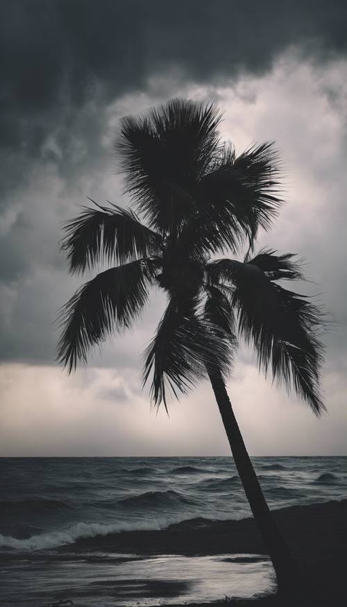 Silueta de palmera blanca en medio de un telón de fondo tormentoso