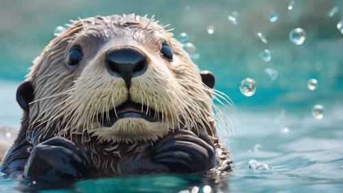 Una giocosa lontra di mare nelle tranquille acque oceaniche color acquamarina, che mostra l&#39;istruzione &quot;Ridi spesso&quot; incisa in modo giocoso nelle spumose bolle di mare che la circondano.