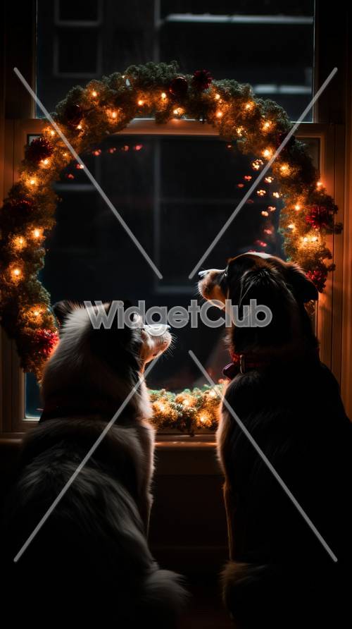 Noel Arifesi Pencerenin Yanındaki Köpekler