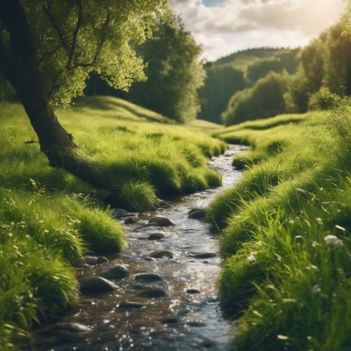A babbling brook flowing through a lush green meadow. Tapet [8acfcfada22b4aea8424]