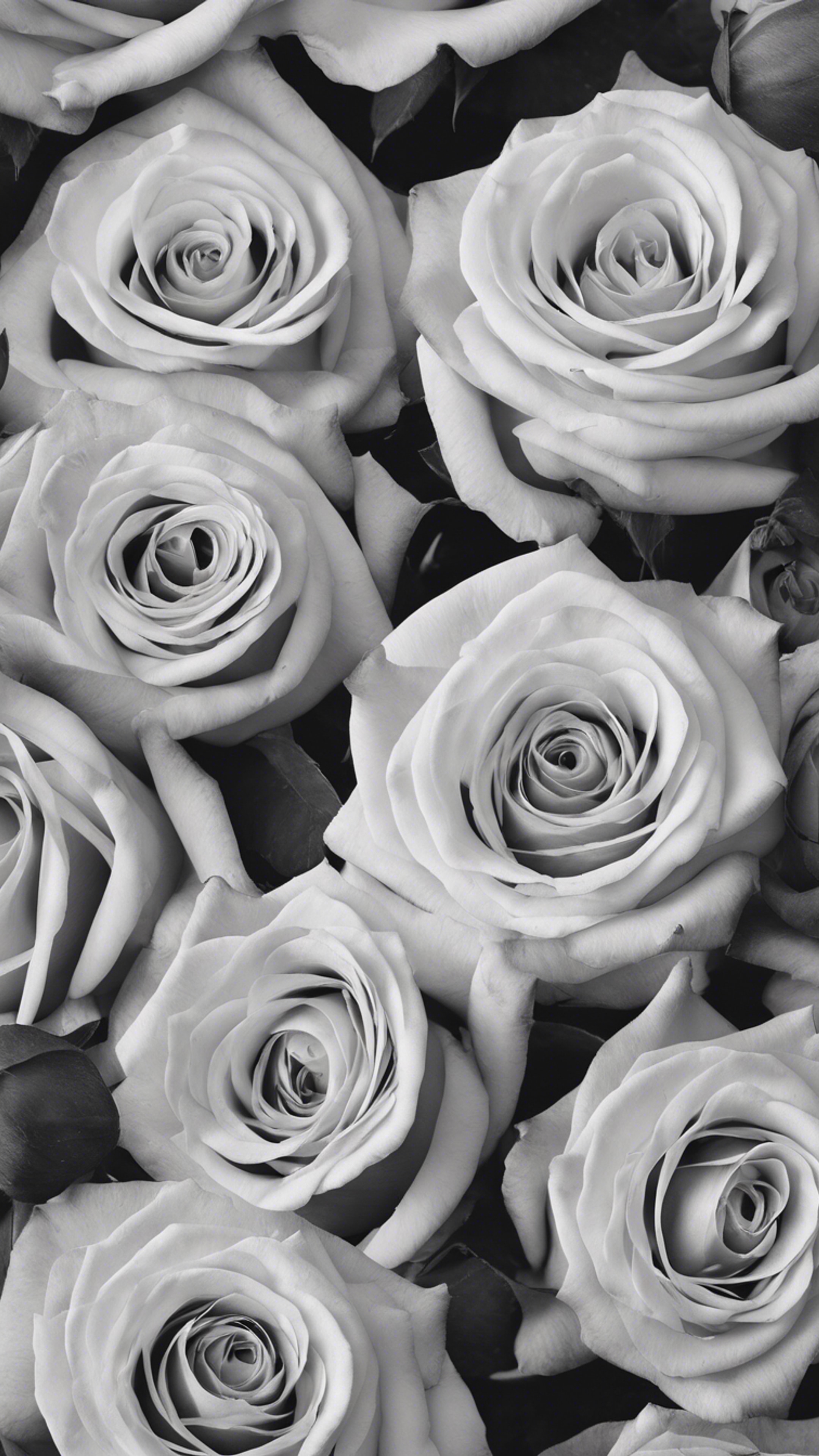 Monochromatic roses ornately arranged in a seamless pattern. 벽지[c90b416599ba4a59a2c6]