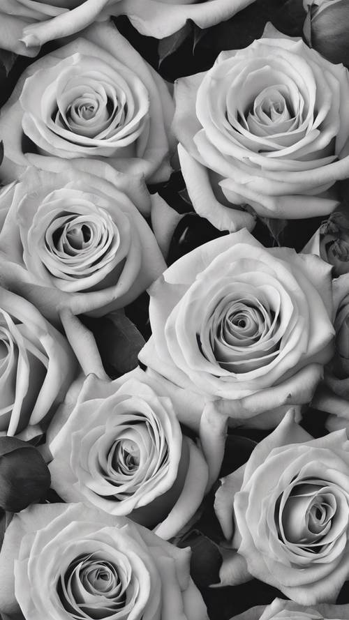 Monochromatic roses ornately arranged in a seamless pattern.