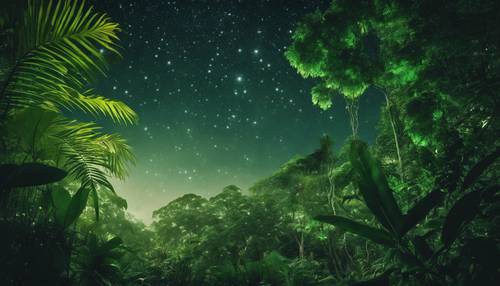 غابة مطيرة استوائية كثيفة تحت سماء مضاءة بالنجوم، تضيء أوراق الشجر الخضراء اللامعة بتوهج أثيري خافت.