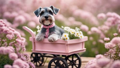 A miniature Schnauzer wearing a pink polka dot dress and a tiny bonnet, sitting in a miniature wooden cart filled with daisies.