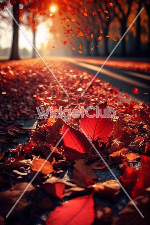 晴れた道に舞う秋の紅葉