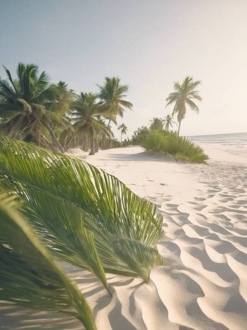 A tropical beach with white sands and green palm trees
