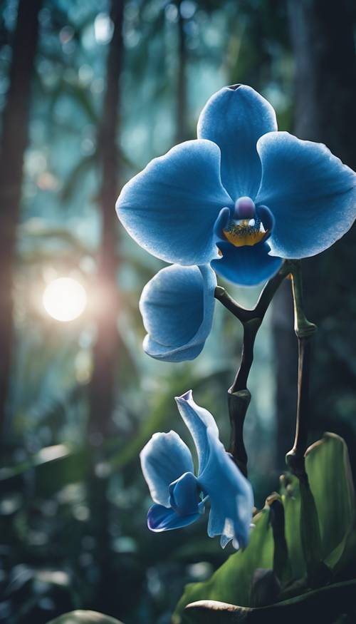 A mysterious blue orchid blooming under the moonlight in a tropical rainforest.