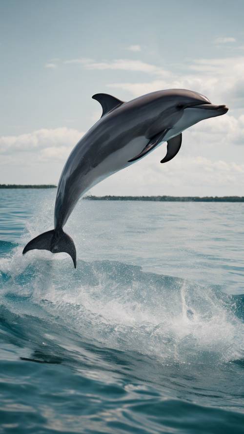一艘飞驰的快艇上，一只勇敢的海豚正在跳过由一位平衡能力极强的训练员拉着的铁环。