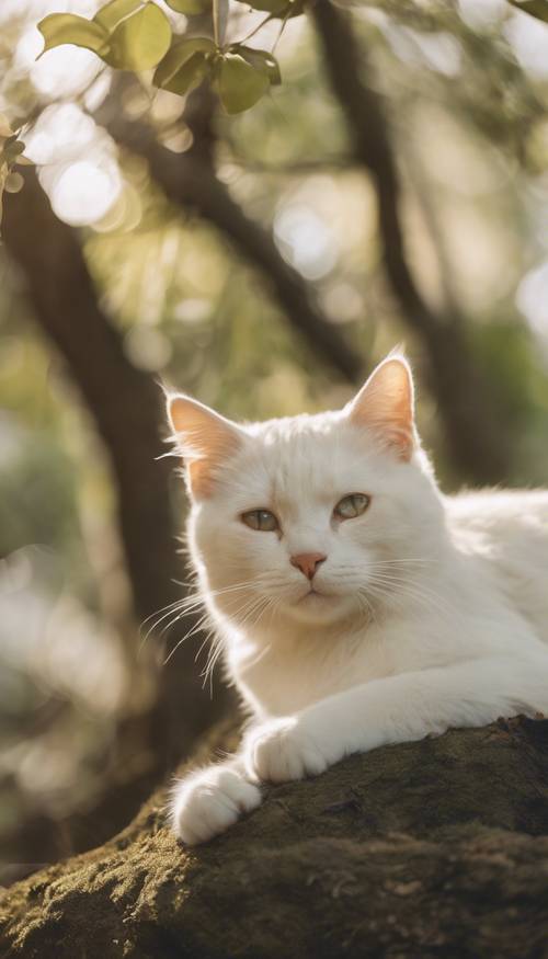 Gölgeli bir ağacın altında huzur içinde dinlenen, yavru kedileri etrafında eğlenen, anaç, krem ​​rengi bir kedi.