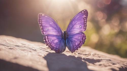 Piękny fioletowy motyl z motywującym cytatem nadrukowanym na skrzydłach, wygrzewający się w jasnym porannym słońcu.