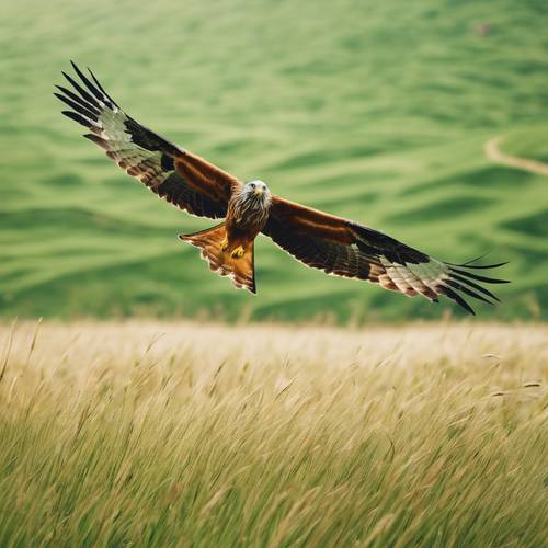 A child's red kite flying high above an open field of emerald green grass.