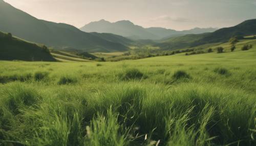A picturesque view of a rolling green plain with a mountain range in the background