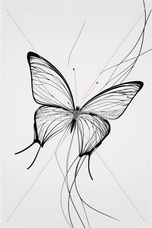 美しい白黒の蝶の絵の壁紙