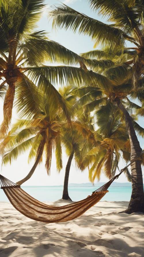 A lone hammock strung between two palm trees on a secluded beach during a sunny summer afternoon.