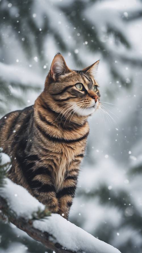 Um gato Maine Coon empoleirado em um galho robusto, observando uma floresta tranquila e coberta de neve abaixo dele.