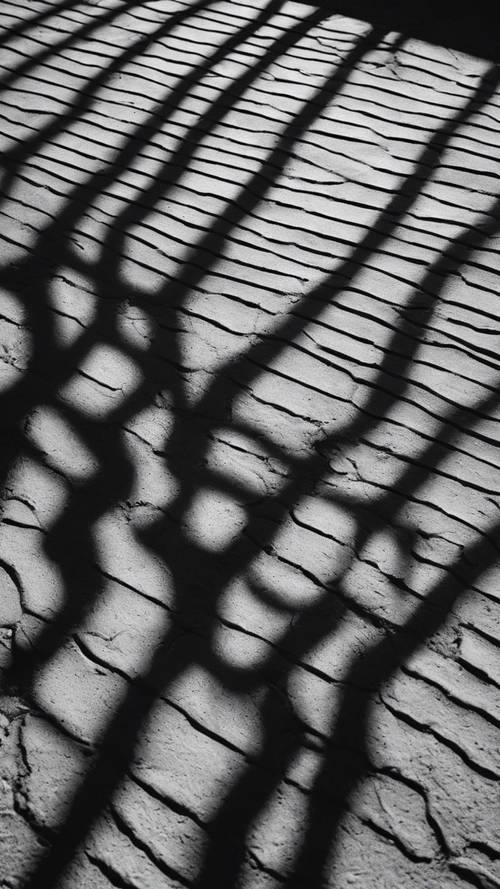 Una fotografia artistica in bianco e nero di ombre che creano un motivo a strisce su una strada acciottolata.