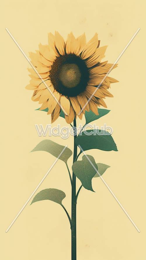 Bright Sunflower on a Warm Day Tapet [cdfd64f9f7dd41c3890f]