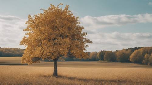 Sebuah pohon berdiri sendiri dengan daun penuh emas di tengah lapangan di bawah langit biru pucat.