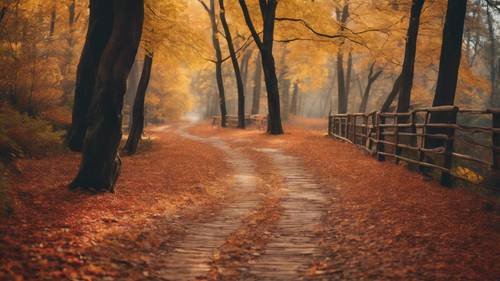 A winding path through a peaceful autumn forest, with a motivational quote appearing in the colorful fall foliage. Tapeta [e505427b9b344d16b3a9]