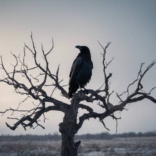 Un corvo solitario appollaiato su un albero nudo e nodoso in un campo invernale buio e desolato.