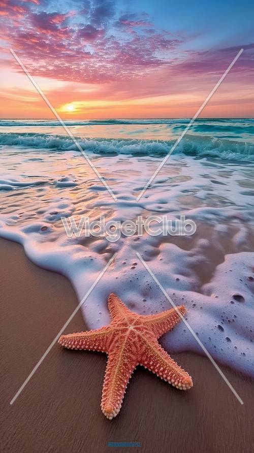 Spiaggia al tramonto con stelle marine