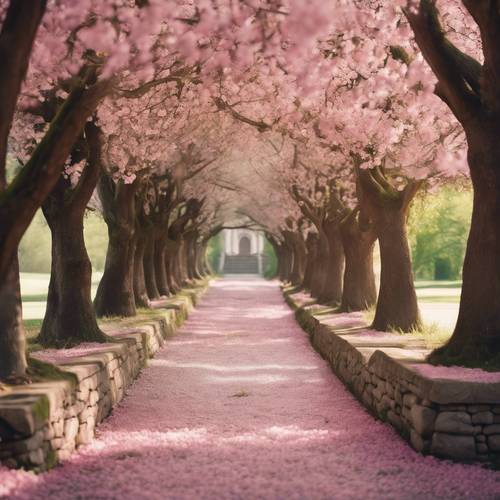 Jalan setapak kastil batu kuno dengan deretan pepohonan menjorok yang dipenuhi bunga mekar musim semi berwarna merah muda muda.