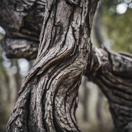 Un tronco de árbol retorcido y nudoso compuesto de corteza gris retorcida.