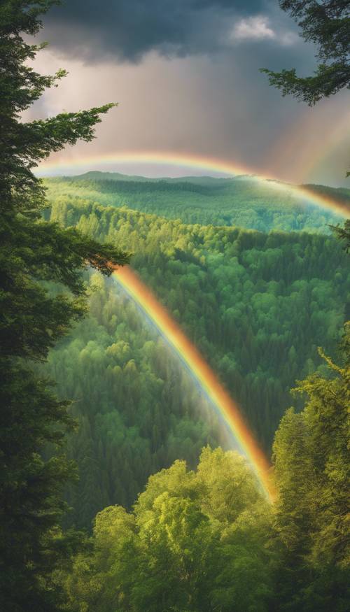 A double rainbow spectacle over a serene, emerald-green forest.