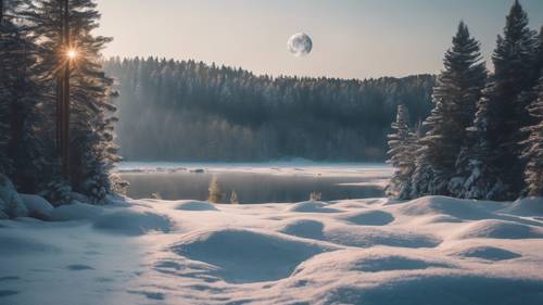 A snowy winter scene enlightened by a full moon, casting long shadows from the peaceful pine trees onto a frozen lake.