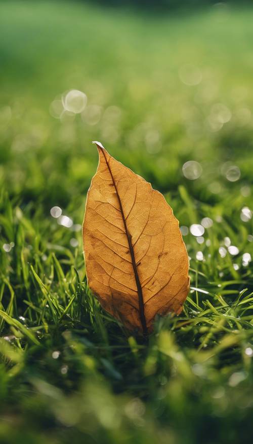 활기 넘치는 녹색 잔디밭에 고립되어 갓 떨어진 갈색 잎의 장면.