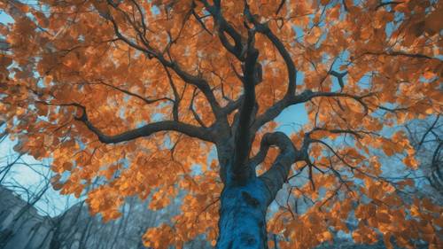 Un árbol azul durante la temporada de otoño, sus hojas son una mezcla de naranjas, rojos y amarillos, que contrastan con la corteza azul.