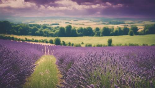 复古明信片风格的图像，描绘了一片青翠的乡村和大片的紫色薰衣草田。