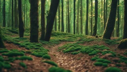 Motivo a strisce di un intenso e lussuoso colore verde foresta.