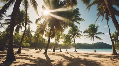 Sunbeams piercing the dense canopy of palm trees and lighting up a secluded tropical beach.