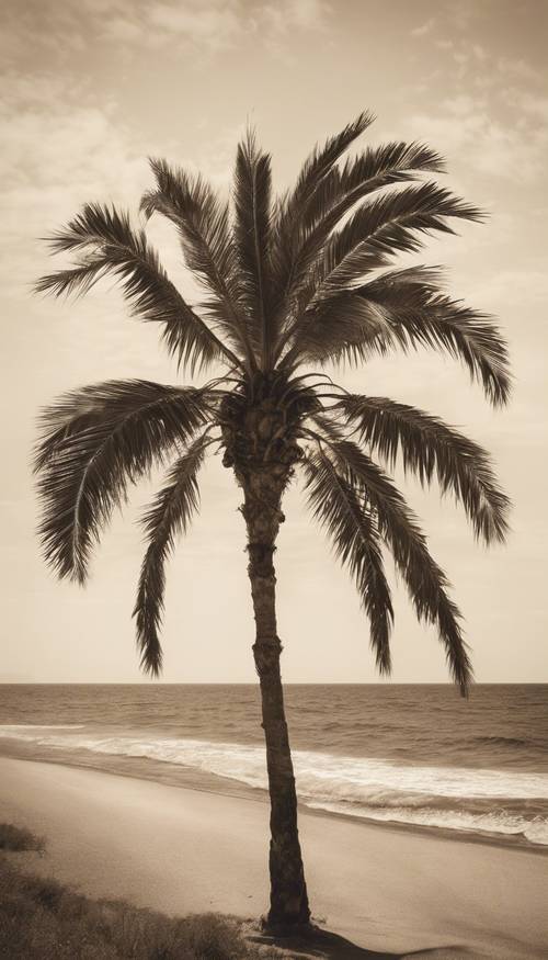 Una antigua fotografía en tonos sepia de una sola palmera meciéndose con el viento junto al océano.