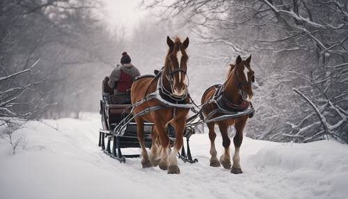 Pferde ziehen einen traditionellen Winterschlitten auf einem schneebedeckten Weg, umgeben von einer ruhigen Winterlandschaft.