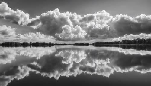 A serene, monochrome shot of cumulus clouds reflected on a glass-still lake.