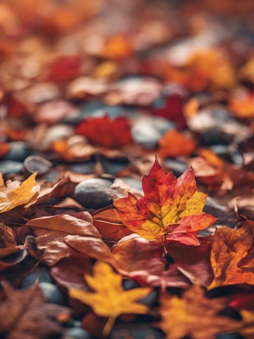 使用充滿活力的秋天色彩的調色板進行迷人的抽象設計