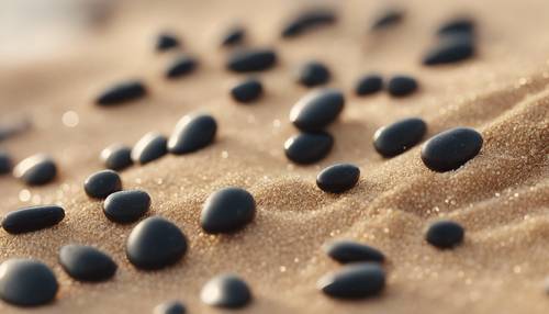 חופן של אבנים שחורות זעירות פוזרו על חול רך וזהוב בחוף הים.