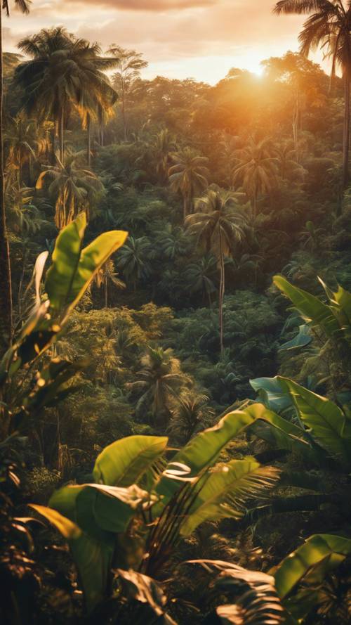 Hutan tropis yang cerah saat matahari terbenam, dengan warna-warna hangat menerangi flora yang luas.