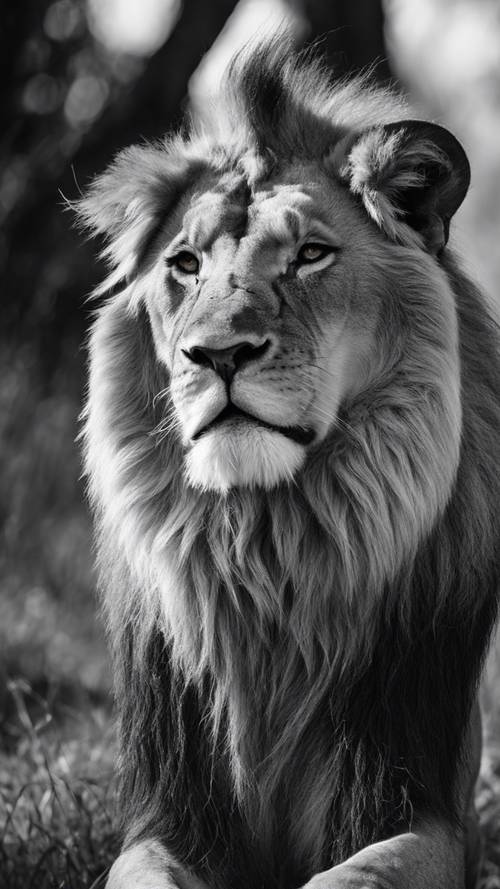 Gambar hitam dan putih kontras tinggi dari seekor singa megah yang ditangkap di tengah aumannya.