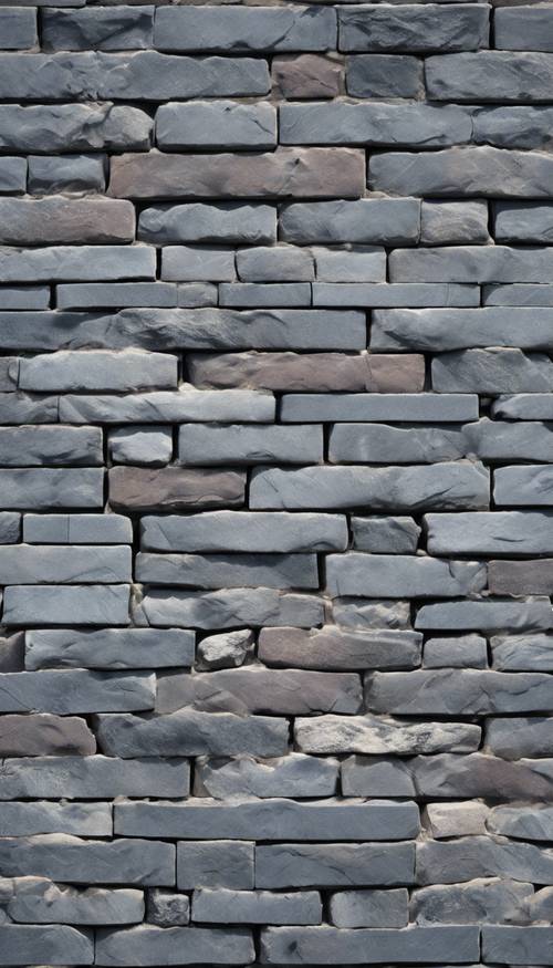 A picture of cool-toned, slate gray bricks baking in the midday sun.