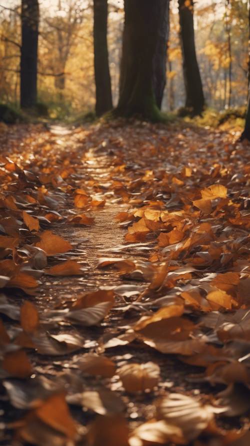 Ein harmonischer Wald im Herbst, mit gefallenen Blättern, die den Weg bedecken, und Sonnenflecken, die durch das Flüstern der Zweige fallen.