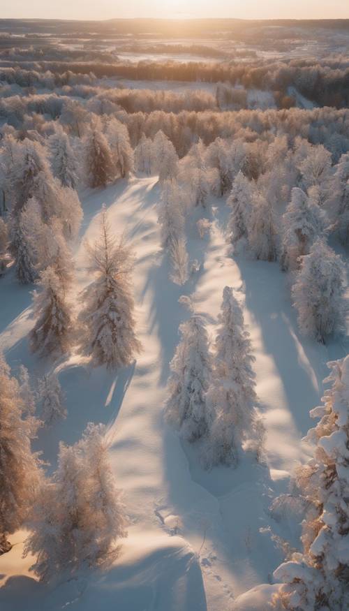 Аэрофотоснимок снежного пейзажа под золотым сиянием заходящего солнца.