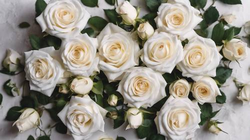Ein Strauß blühender weißer Rosen, von oben fotografiert.
